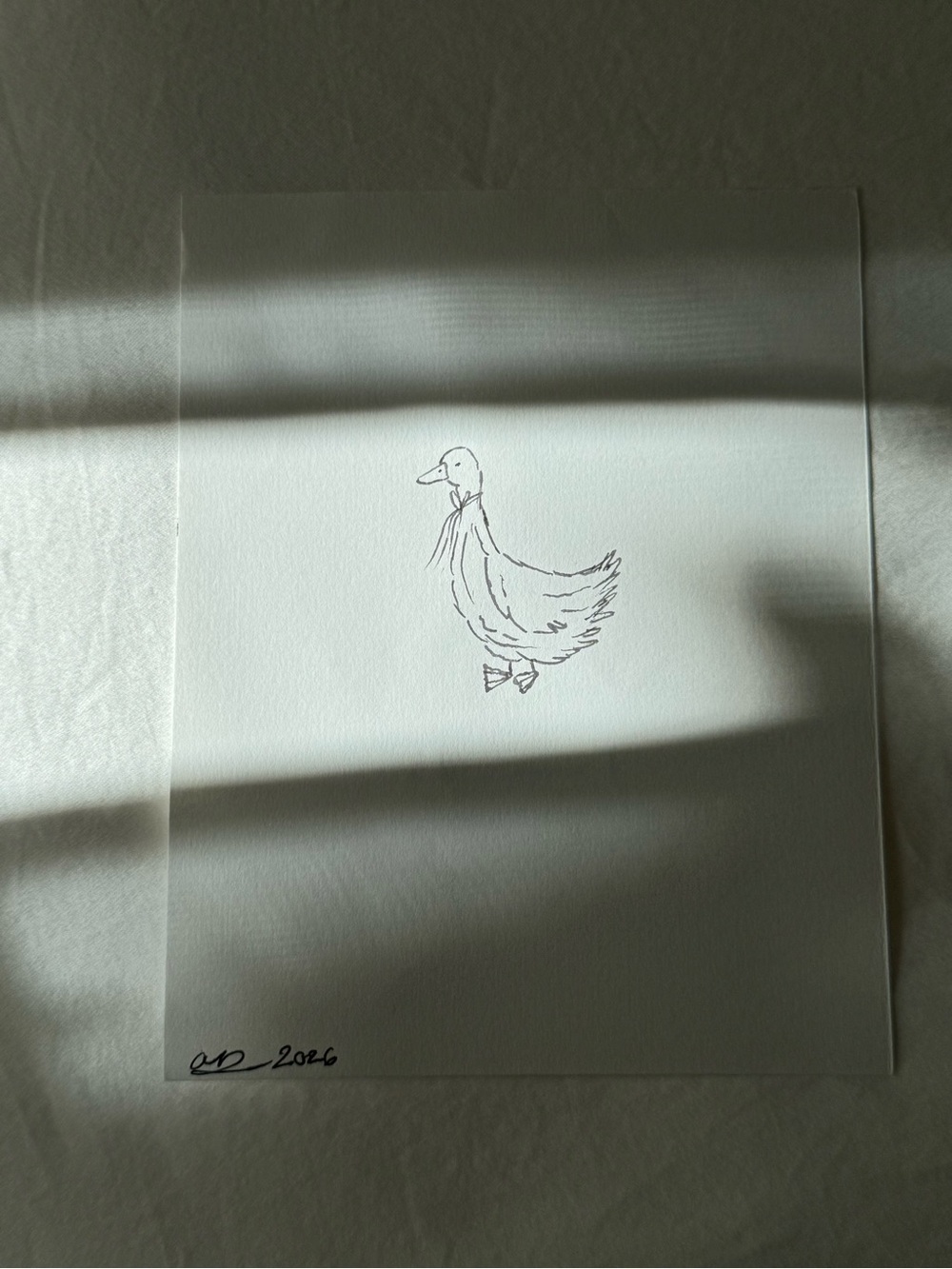 Bird Sketch Art